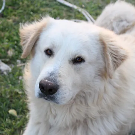 Farm stay La Rocca Delle Pigne